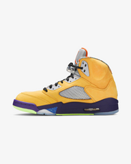 Air Jordan5 Retro What The