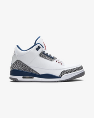 Air Jordan3 True Blue 2011