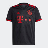 Kids' FC Bayern 22 23 Third Jersey