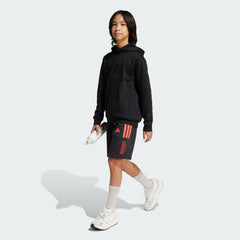 Kids' ALL SZN Graphic Hoodie Kids