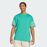 Men's ALL SZN Colorblock Tee