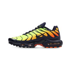 Max Plus TN 'Lemon Venom' (2025)