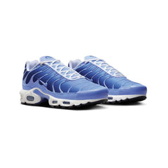 Max Plus TN 'Royal Pulse'
