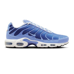 Max Plus TN 'Royal Pulse'