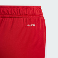 Kids' Tiro 24 Shorts Kids