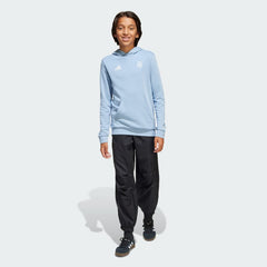 Kids' Argentina Anniversary DNA Hoodie Kids