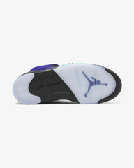 Air Jordan5 Retro Alternate Grape 2020