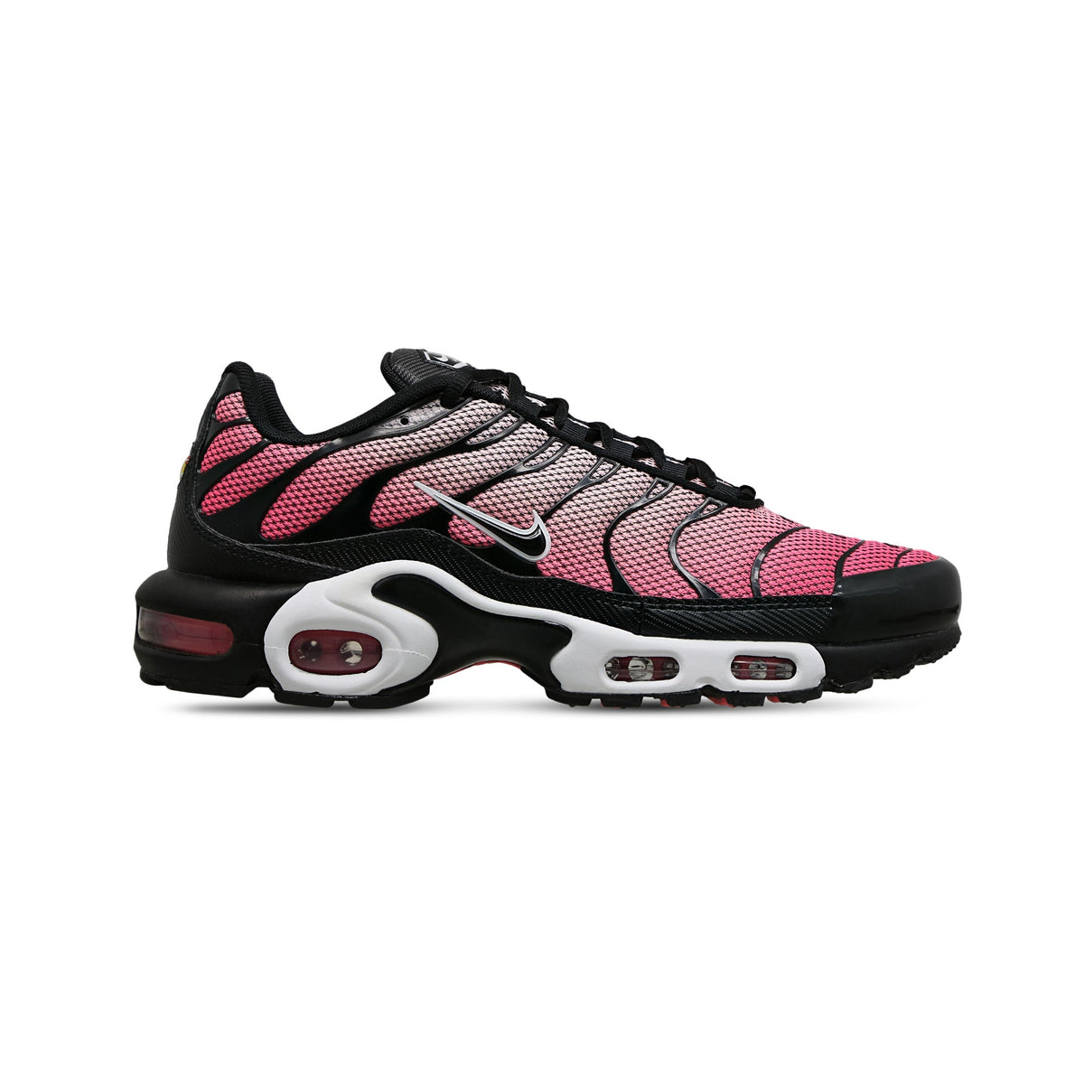 Max Plus TN 'All Day' (2024)