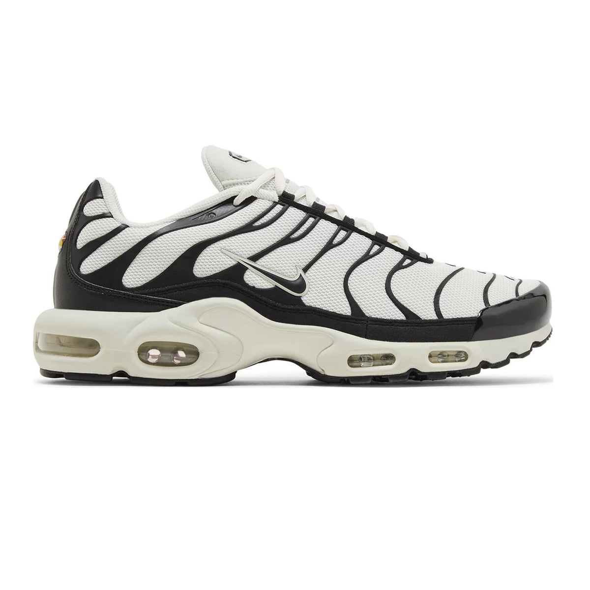 Max Plus TN 'Panda' (2024)