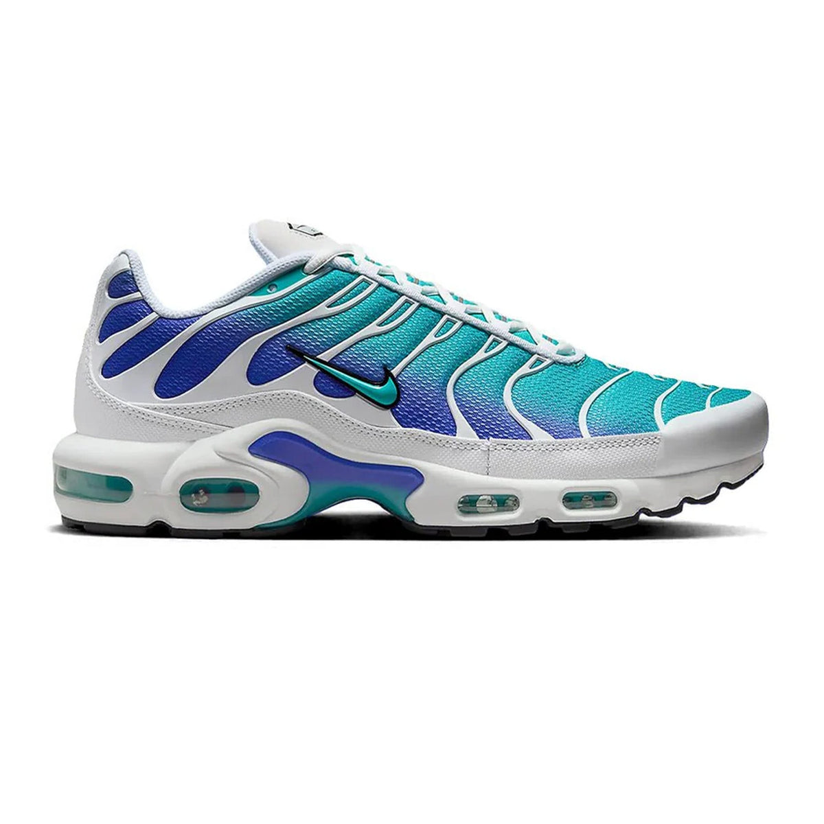 Max Plus TN 'Aqua' (2024)