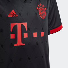 Kids' FC Bayern 22 23 Third Jersey
