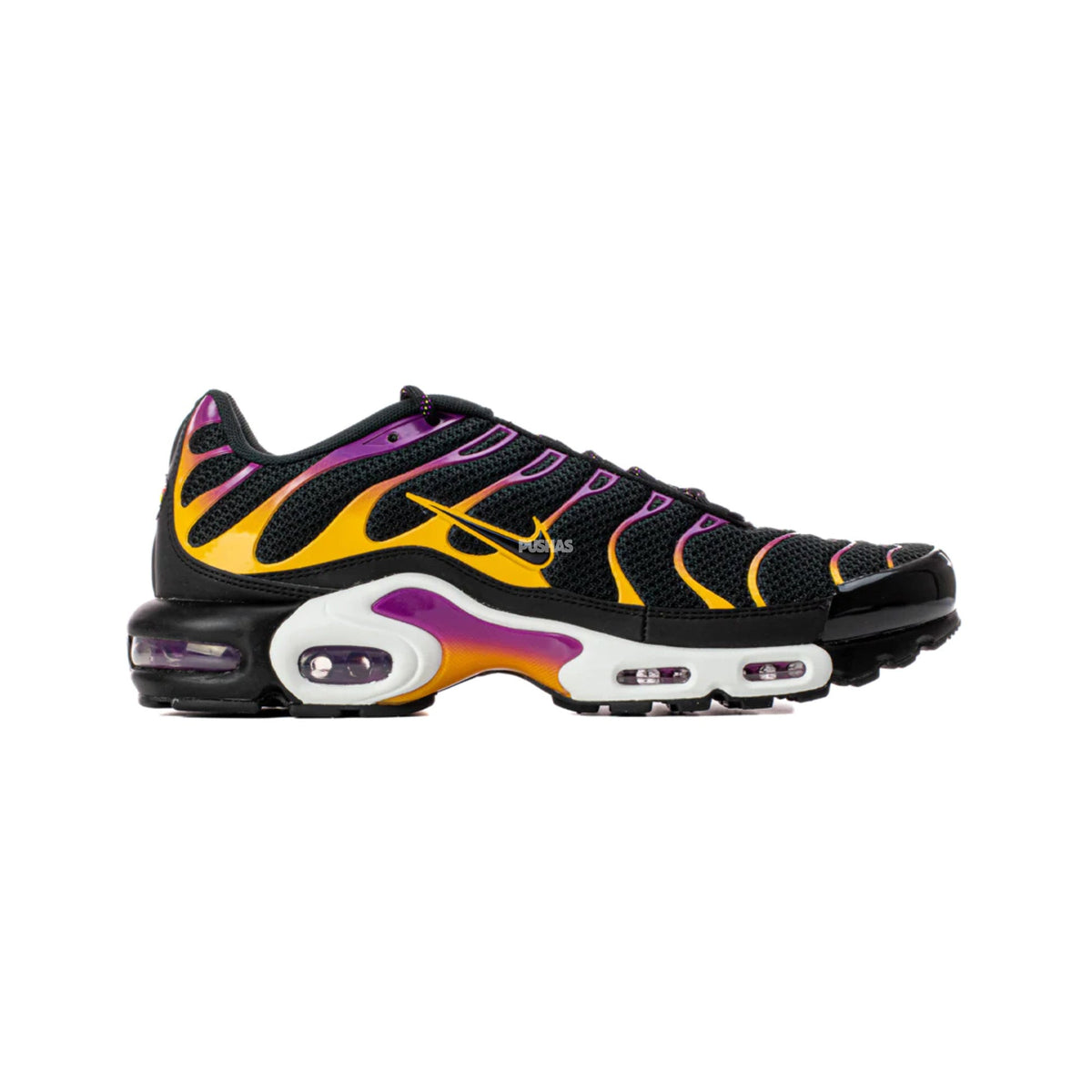 Max Plus TN 'University Gold Viotech Purple' (2022)