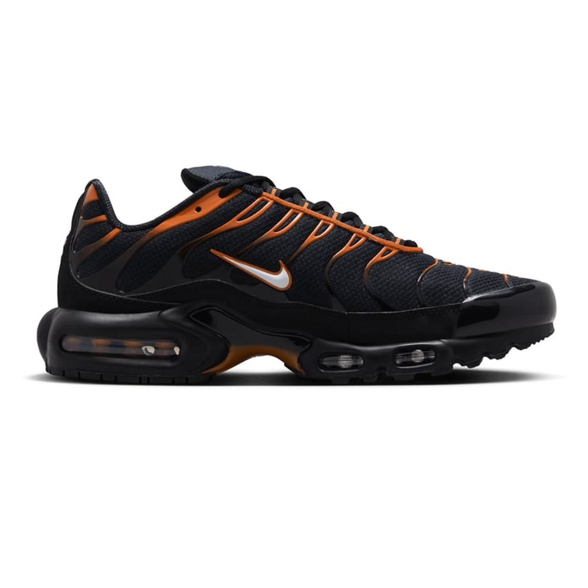 Max Plus TN 'Dark Obsidian Monarch' (2024)
