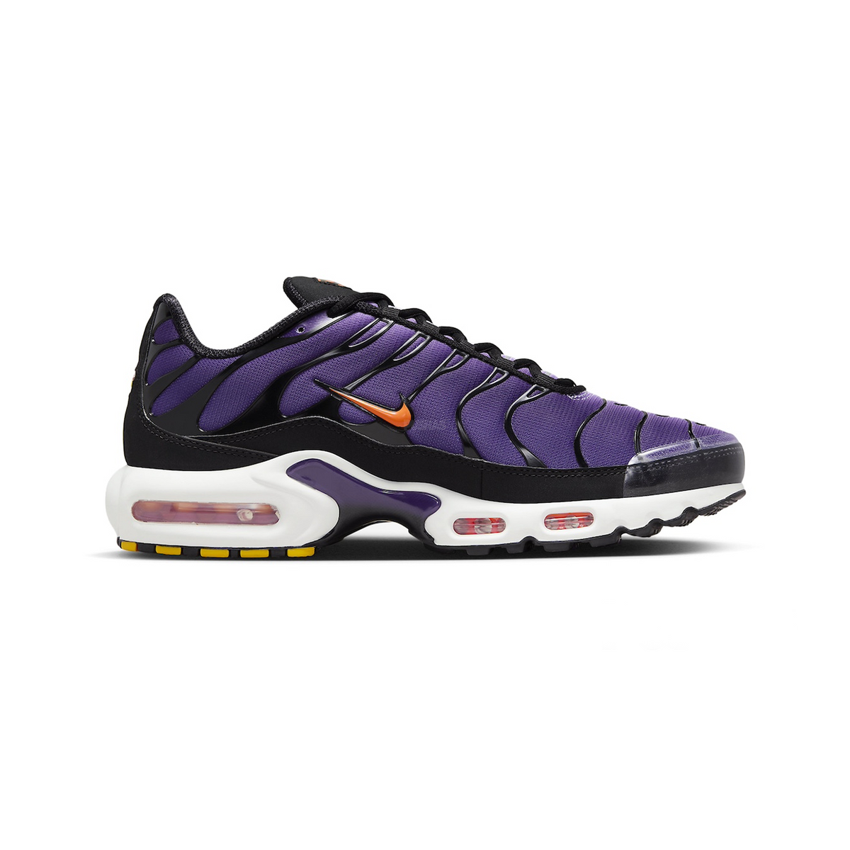 Max Plus TN 'Voltage Purple' (2024)