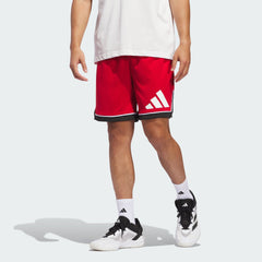 Men's Basketball Badge of Sport Shorts